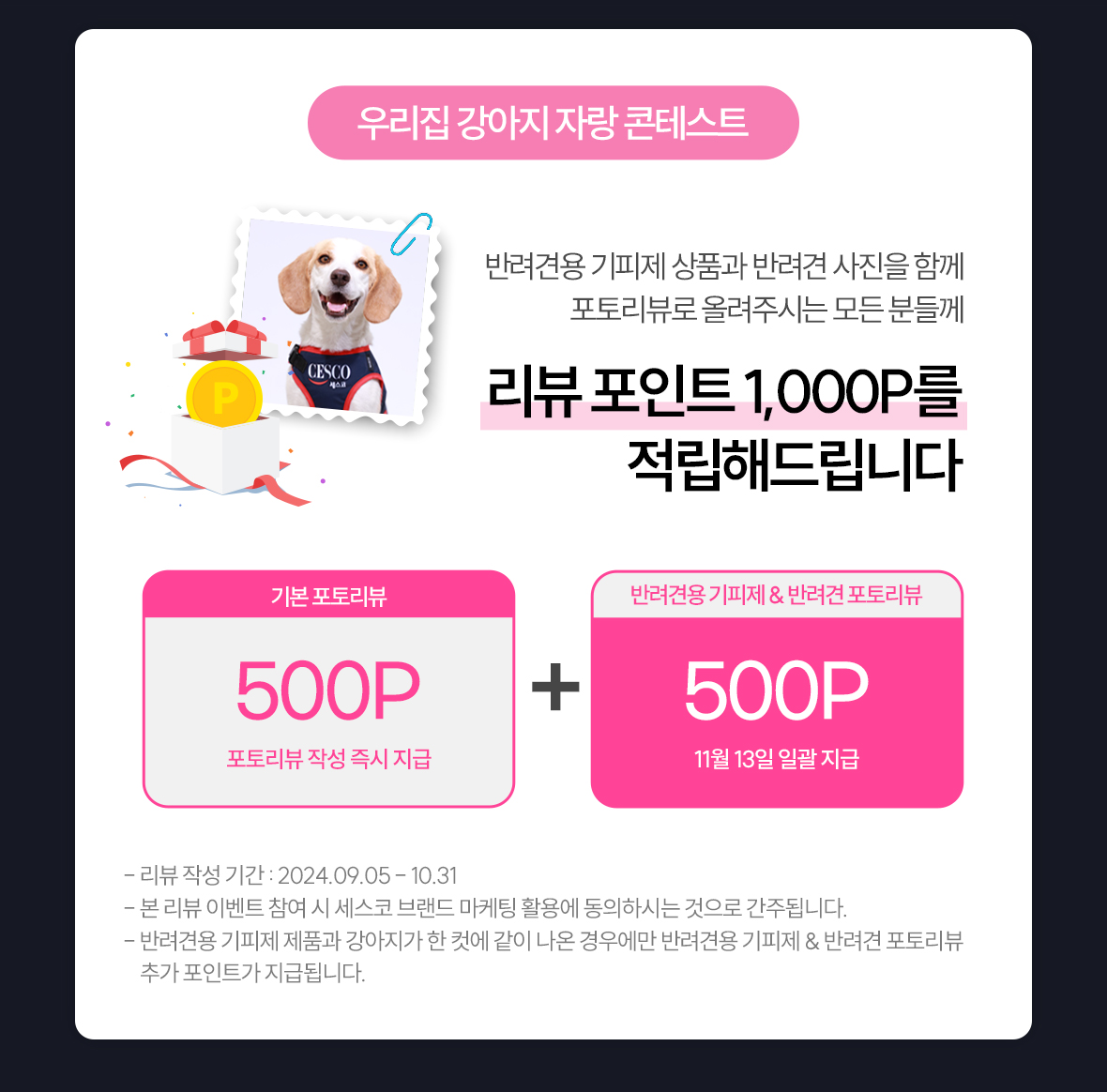 우리집 강아지 자랑 콘테스트 리뷰포인트 최대 1,000P 적립