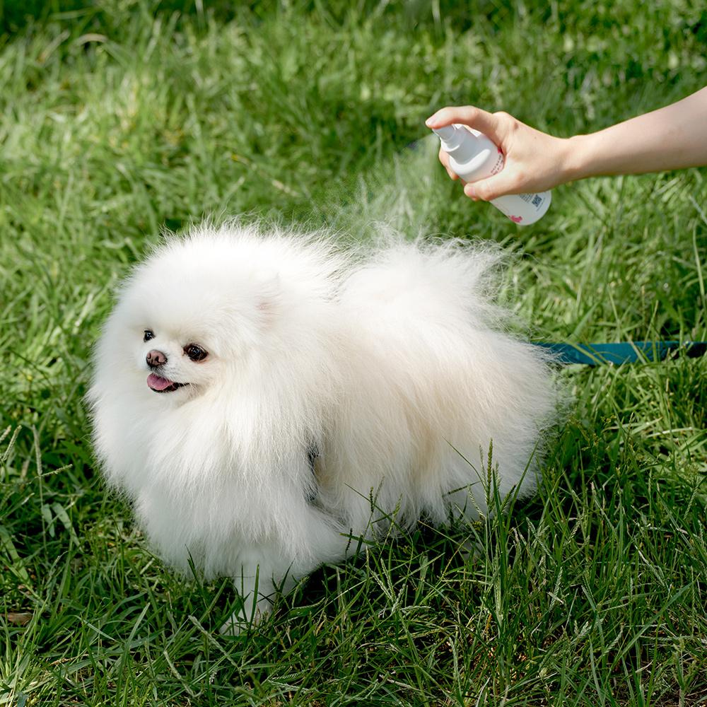 세스코 마이랩 모기·진드기 기피제 반려견용 120ml 